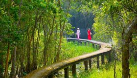 Begin your visa-prepared day with Vietnam’s tranquil ambiance